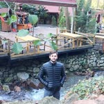 Mustafa