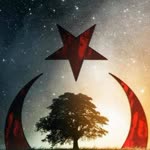 Gülfiye