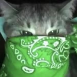 Kübra