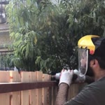Serkan