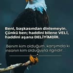 Boşversene
