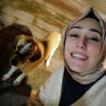 Songül
