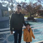 Tayyar
