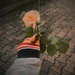 Abrar