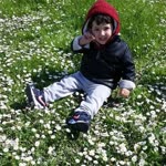 Rabia