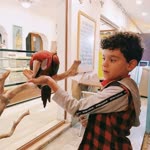 Erhan