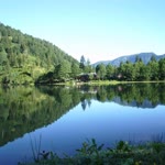 Havva