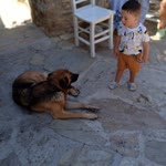 Arzu