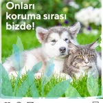 Filiz