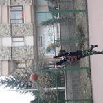 Discreed