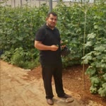 İbrahim