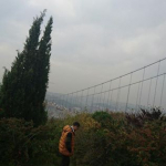 Mahmut