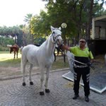 Osman