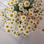 Çetin