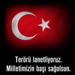 Halit