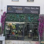 Mandalin