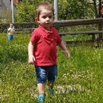 Songul