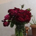 Mihriban