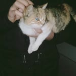 Burak