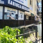 Karınca