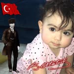 Şahin