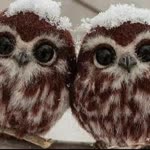 Pinar
