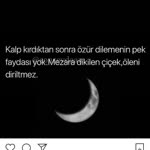 Ayça