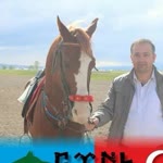 Şevket
