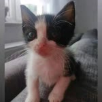 İrem