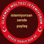 Bozkurt