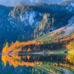Seher