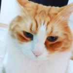 Kerem
