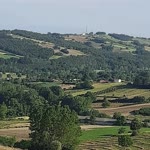 Zahir