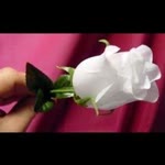 Meryem
