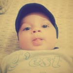 Buse