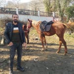 Mustafa