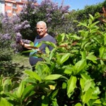 Zafer