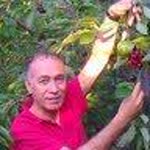 İhsan