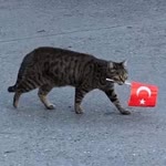 Betül