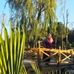 Havva