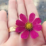 Ebru