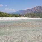 Aysu