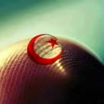 Kübra