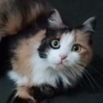 Sıdıka