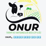 Onur