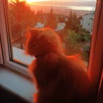 Zeynep