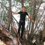 Aydın