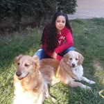 Sibel