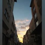 Erva