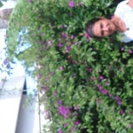 Farmasi